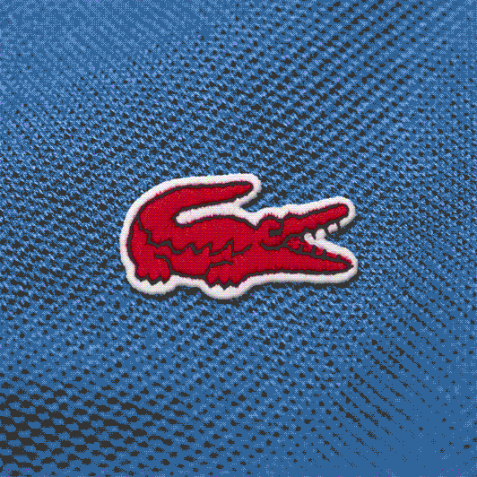 Crocodile GIF